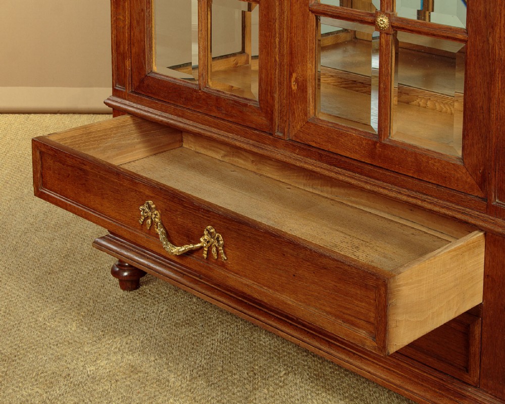 An Edwardian oak display cabinet featuring two glazed doors with gilt rosette mounts, a mirrored interior back, and two drawers at the base with swag handles. View IX
