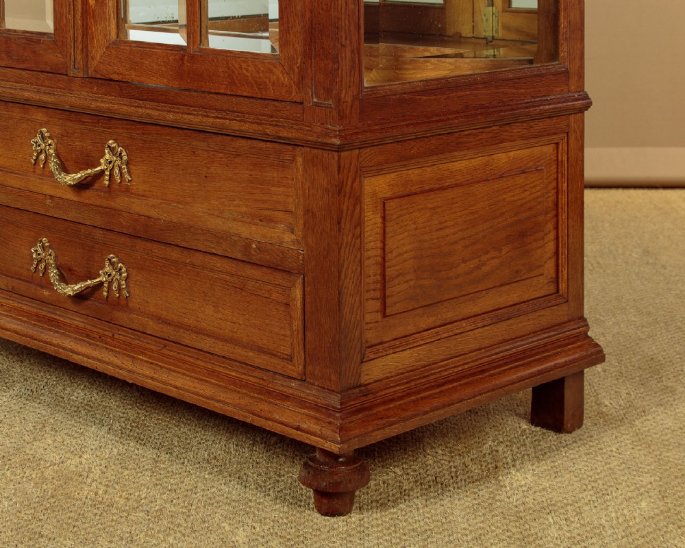 An Edwardian oak display cabinet featuring two glazed doors with gilt rosette mounts, a mirrored interior back, and two drawers at the base with swag handles. View XI