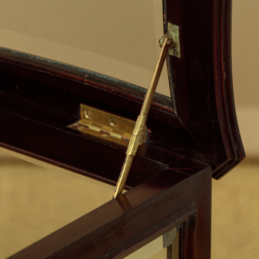A dark mahogany glass-enclosed bijouterie display table featuring cabriole legs, curved stretchers, glazed side panels, and internal glass shelves. View VIII