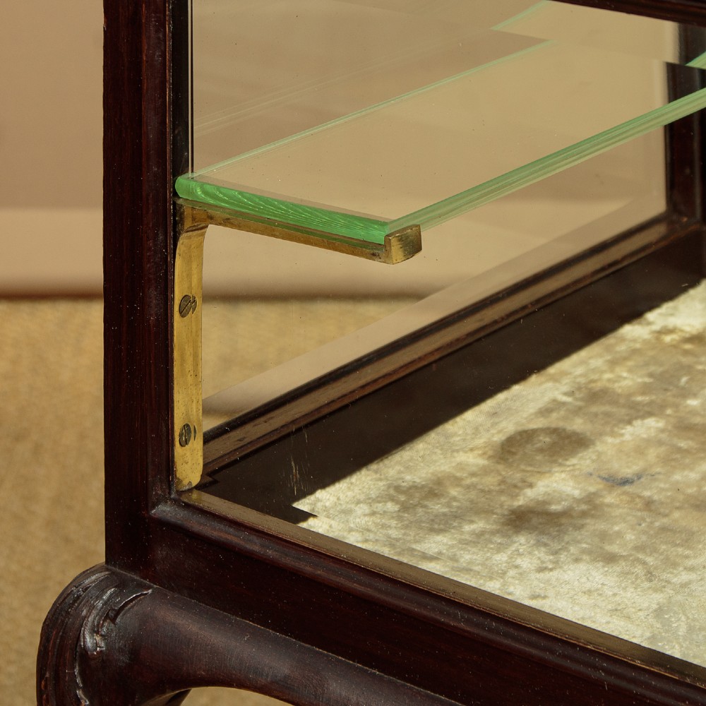 A dark mahogany glass-enclosed bijouterie display table featuring cabriole legs, curved stretchers, glazed side panels, and internal glass shelves. View IX