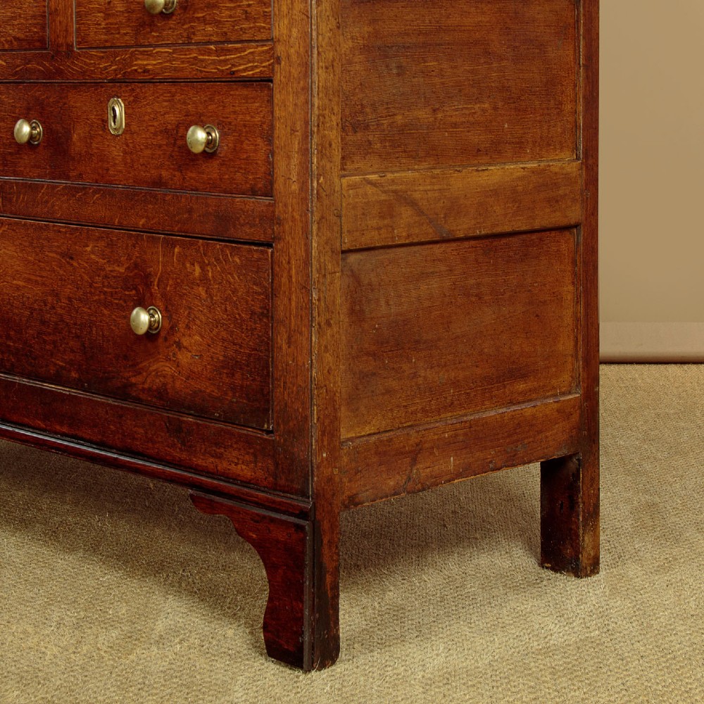 A nineteenth-century Welsh oak tack cupboard featuring a fielded twin-panel door upper section set over a chest of seven drawers with brass turned knobs. View XIII