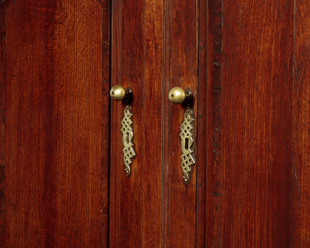 A tall 18th-century dark oak Georgian tack cupboard featuring twin arched panel doors over a base with five drawers and brass handles. View IX