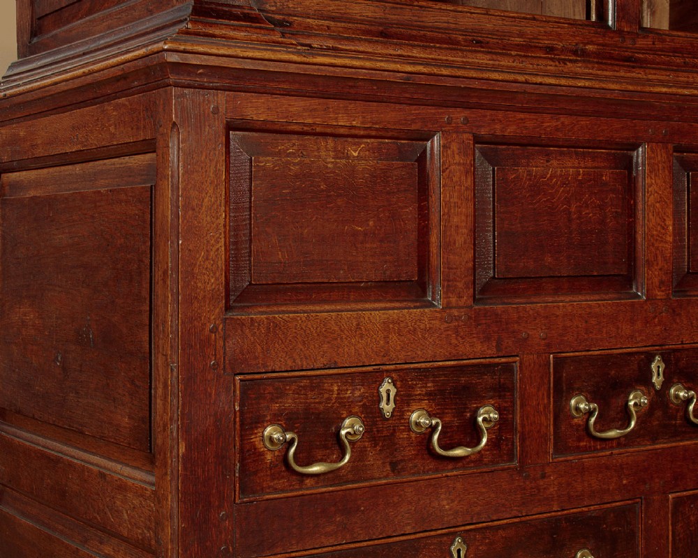 A tall 18th-century dark oak Georgian tack cupboard featuring twin arched panel doors over a base with five drawers and brass handles. View XIII