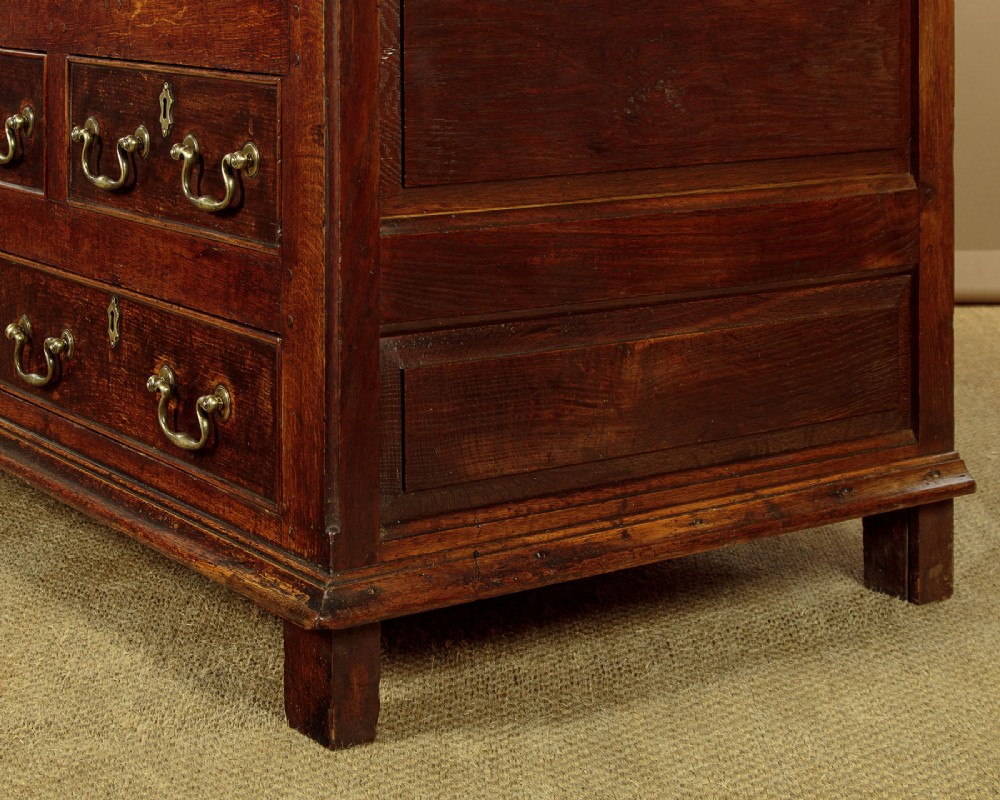 A tall 18th-century dark oak Georgian tack cupboard featuring twin arched panel doors over a base with five drawers and brass handles. View XV