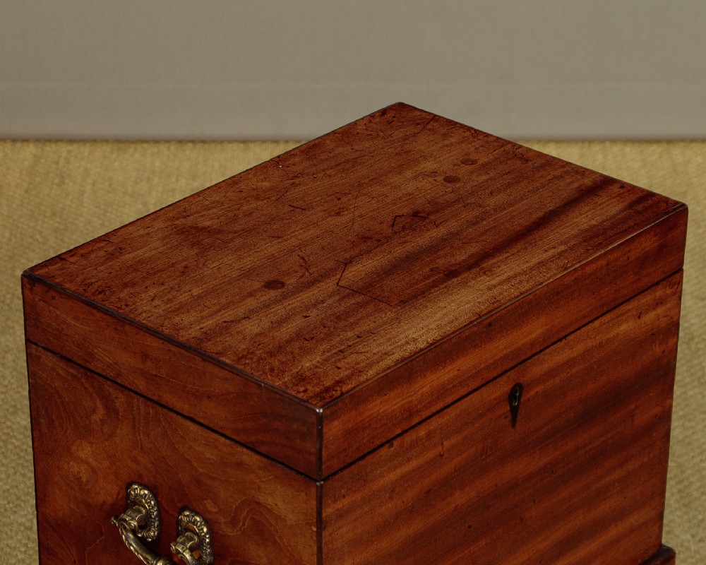 Georgian Mahogany Wine Cooler c.1820 View VI