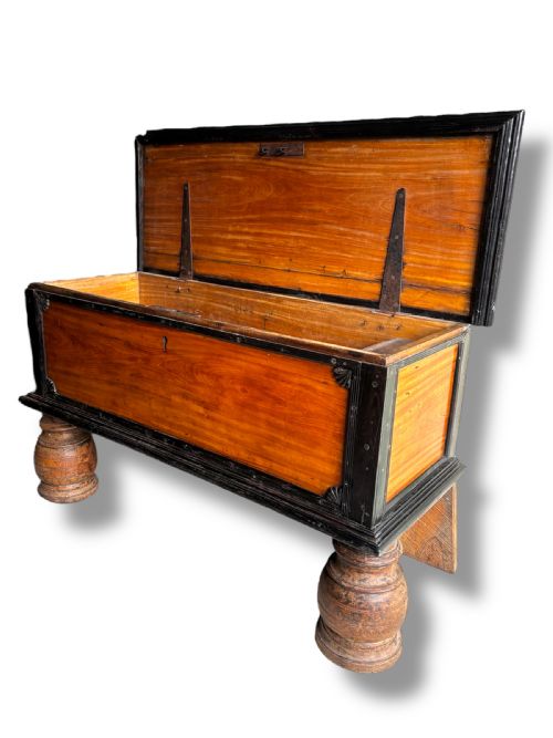 19THCENTURY CEYLONESE SATINWOOD EBONY COFFER - ADDITIONAL PHOTO 2