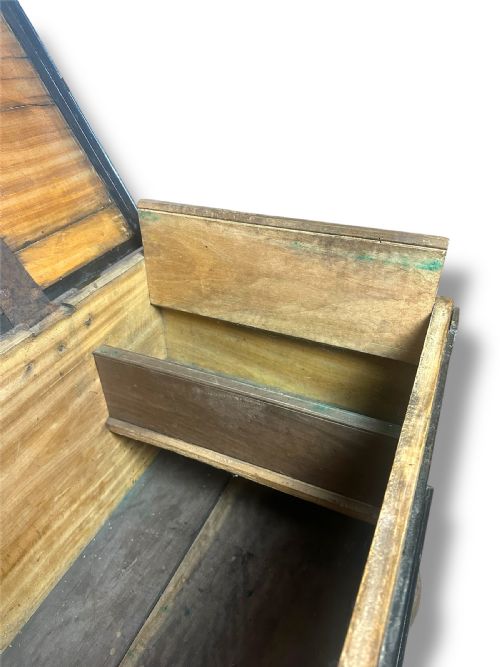 19THCENTURY CEYLONESE SATINWOOD EBONY COFFER - ADDITIONAL PHOTO 3
