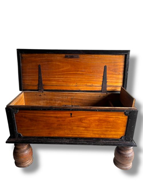 19THCENTURY CEYLONESE SATINWOOD EBONY COFFER - ADDITIONAL PHOTO 4
