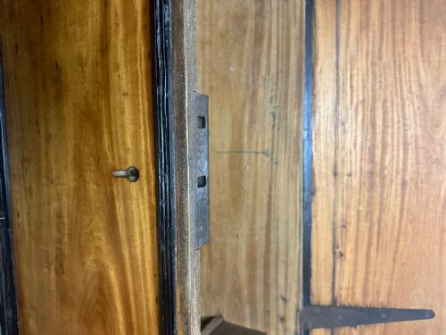 19THCENTURY CEYLONESE SATINWOOD EBONY COFFER - ADDITIONAL PHOTO 5