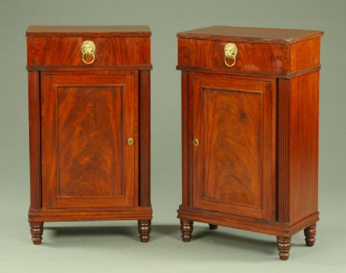 A Rare Pair of Regency Period Mahogany Pedestals (Sideboards)