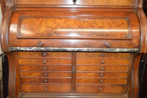19TH CENTURY BURR WALNUT DENTIST COLLECTORS CABINET - ADDITIONAL PHOTO 3