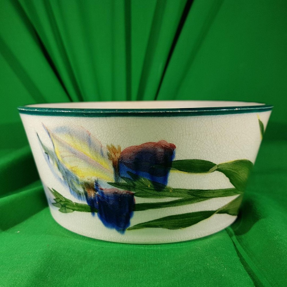 A good rare Wemyss Bowl decorated with iris’s. 