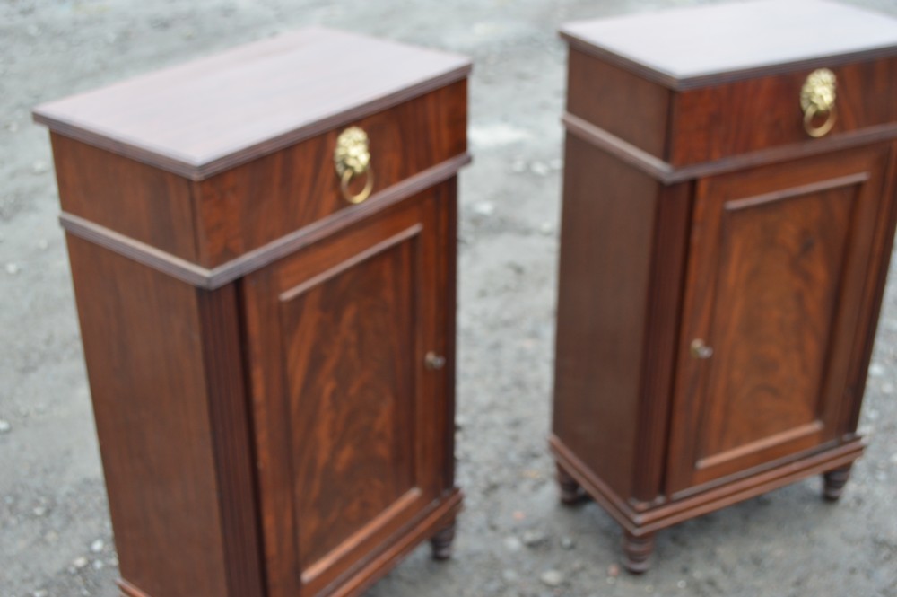 A rare pair of Regency period mahogany pedestals (Sideboards) View IV