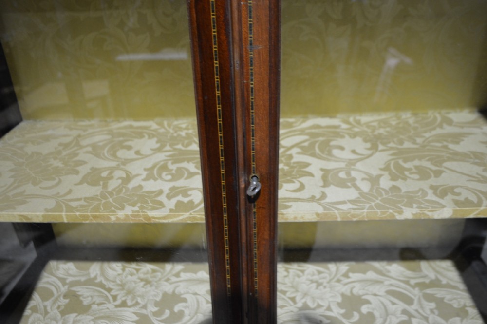 Edwardian display cabinet View V