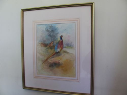 pair of pheasants in landscape watercolour james jasstinton worcester artist - CATEGORY: ANTIQUE ART - DATED 1940