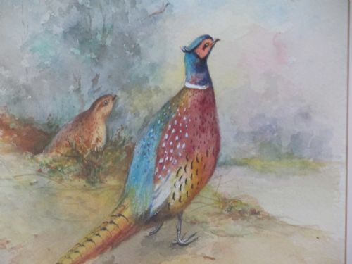 PAIR OF PHEASANTS IN LANDSCAPE WATERCOLOUR JAMES JASSTINTON WORCESTER ARTIST - ADDITIONAL PHOTO 1