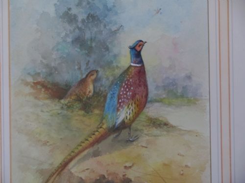 PAIR OF PHEASANTS IN LANDSCAPE WATERCOLOUR JAMES JASSTINTON WORCESTER ARTIST - ADDITIONAL PHOTO 2