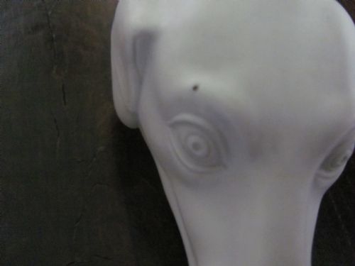 VICTORIAN PARIAN SNUFF MULL IN THE FORM OF A DOGS HEAD PEWTER MOUNTS - ADDITIONAL PHOTO 2