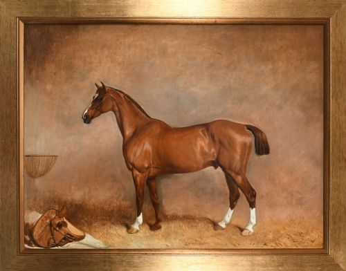 19th Century Horse in Stable, Oil,claude Lorraine Ferneley