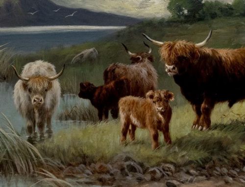 HIGHLAND CATTLE AND SCOTTISH MOUNTAIN SCENE BY CHARLES W OSWALD - ADDITIONAL PHOTO 2