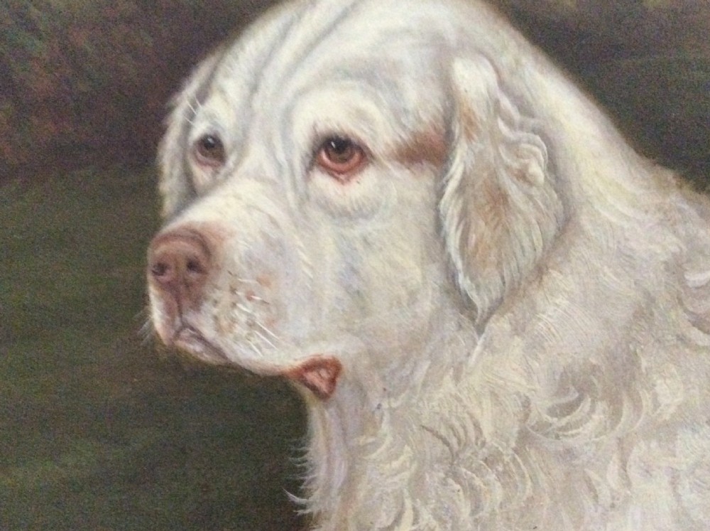 An antique oil painting depicting a white Clumber spaniel seated in a green grassy landscape, framed in a carved gilt frame. View III