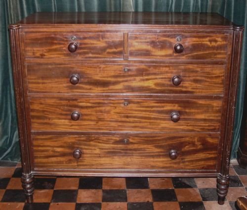 Regency Mahogany Chest