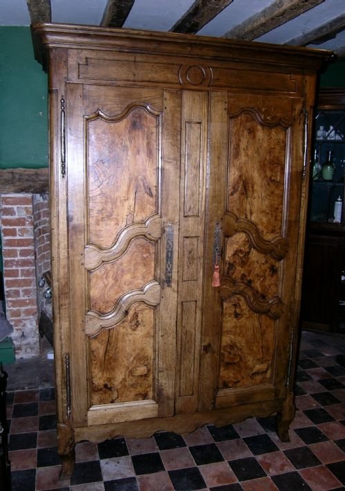 Wonderful 19th Cent Oak and Burr Ash Armoire