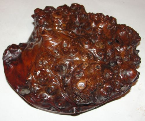 Scottish Georgian Root Snuff Mull. Circa 1820