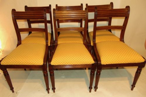 Set 6 Regency Mahogany Dining Chairs Circa 1820
