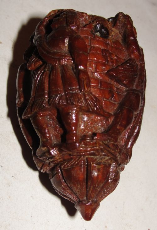 Georgian Carved Coquilla Nut Snuff Mull Circa 1780