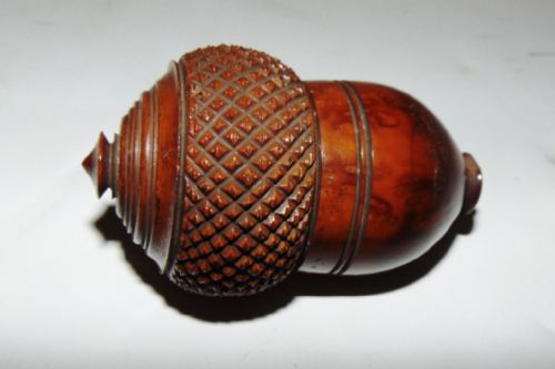 Georgian Coquilla Nutmeg Grater Circa 1830