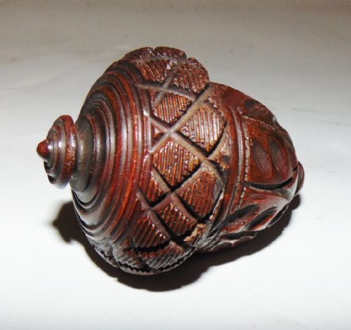 Georgian Carved Coquilla Nut Nutmeg Grater Circa 1830