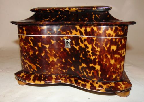 Regency Tortoiseshell Tea Caddy Circa 1820