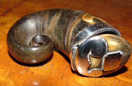 Scottish Ram's Horn Silver Mounted Snuff Mull Circa 1840