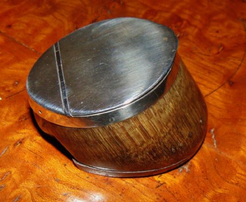 Scottish Pony Hoof & Silver Mounted Snuff Mull Circa 1850