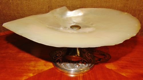 Victorian Shell Tazza. Circa 1880