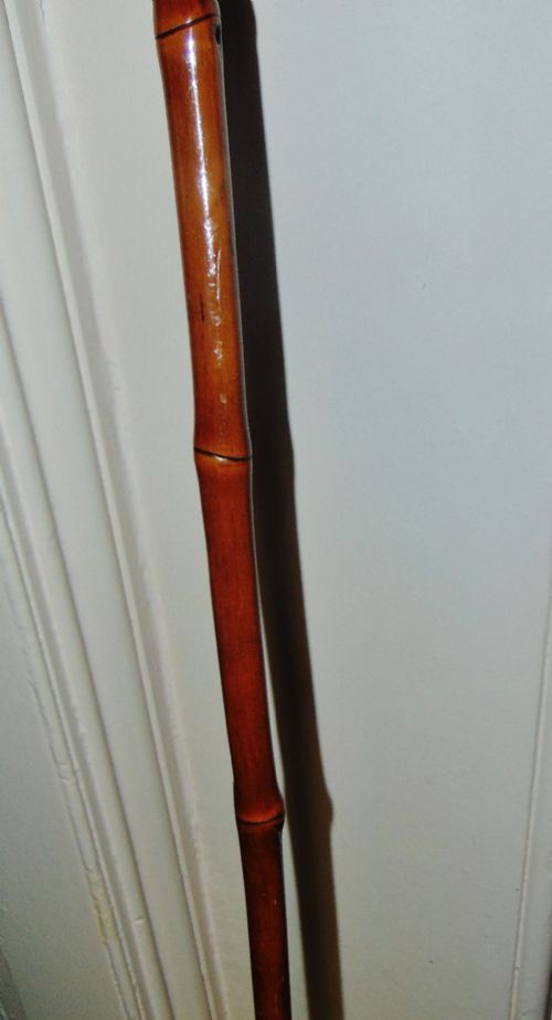 BAMBOO WALKING STICK ROOT HANDLE CIRCA 1900 - ADDITIONAL PHOTO 2