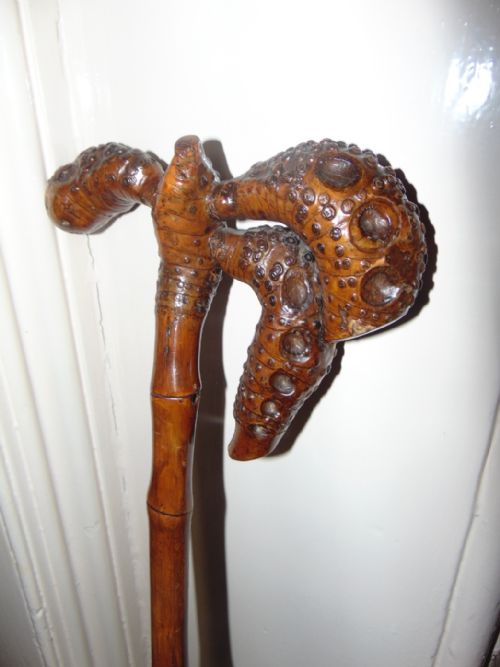 BAMBOO WALKING STICK ROOT HANDLE CIRCA 1900 - ADDITIONAL PHOTO 3