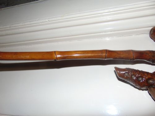 BAMBOO WALKING STICK ROOT HANDLE CIRCA 1900 - ADDITIONAL PHOTO 4