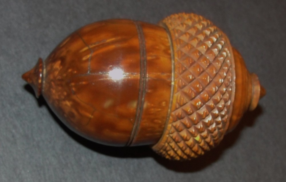 Georgian coquilla nut nutmeg grater. Circa 1825