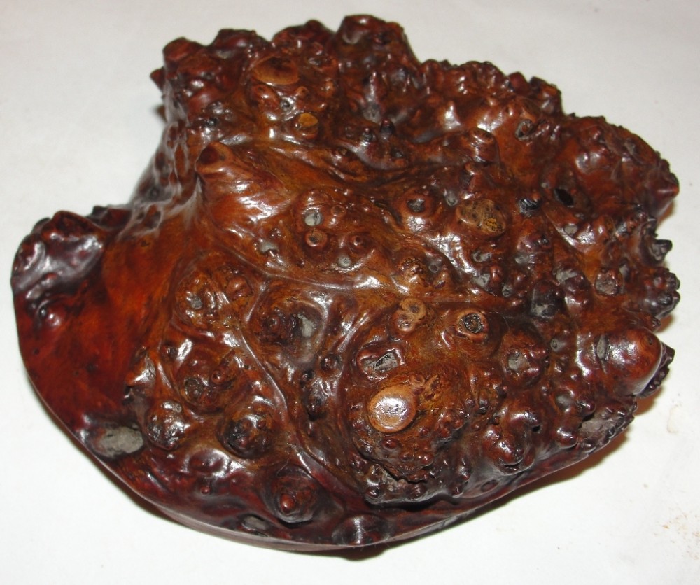 Scottish Georgian root snuff mull. Circa 1820