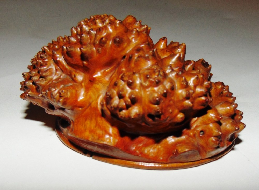 Scottish Victorian root snuff mull. Circa 1850