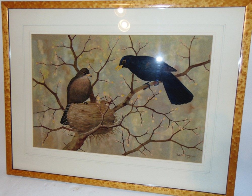 Watercolour 'Blackbird family' by Ralston Gudgeon Circa 1935
