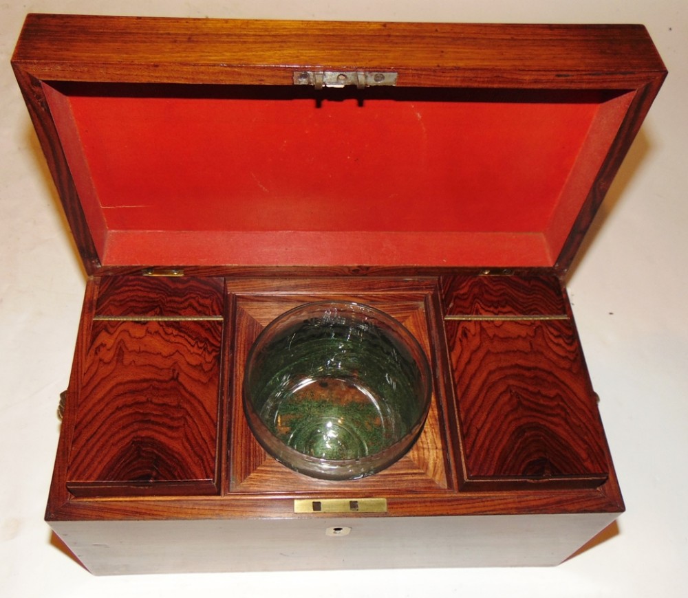 Regency kingwood tea caddy circa 1820