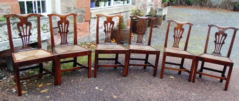 Set 6 Georgian elm dining chairs circa 1770