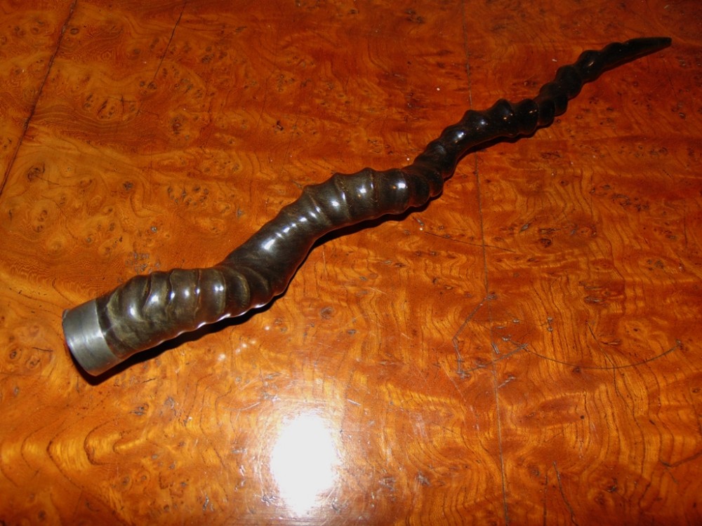 Scottish long twisted horn snuff mull circa 1825