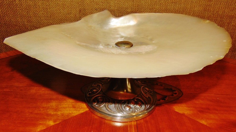 Victorian shell tazza. Circa 1880