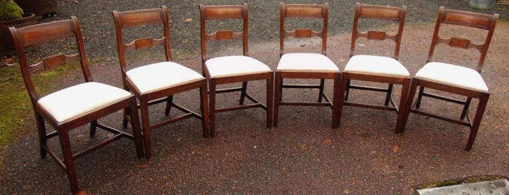Set 6 Georgian mahogany dining chairs circa 1800