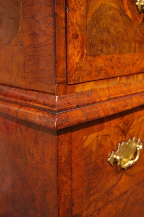 fig 1. RARE BURR YEW WOOD AND OYSTER VENEERED CHEST ON STAND