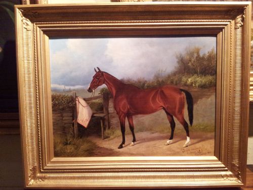 A Wonderful Oil Painting Study of a Horse.